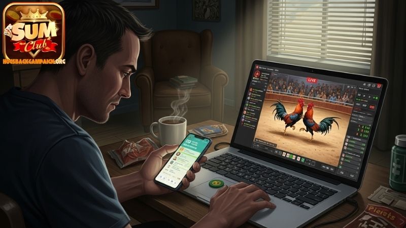 Ưu điểm trận đá gà hay Sumclub