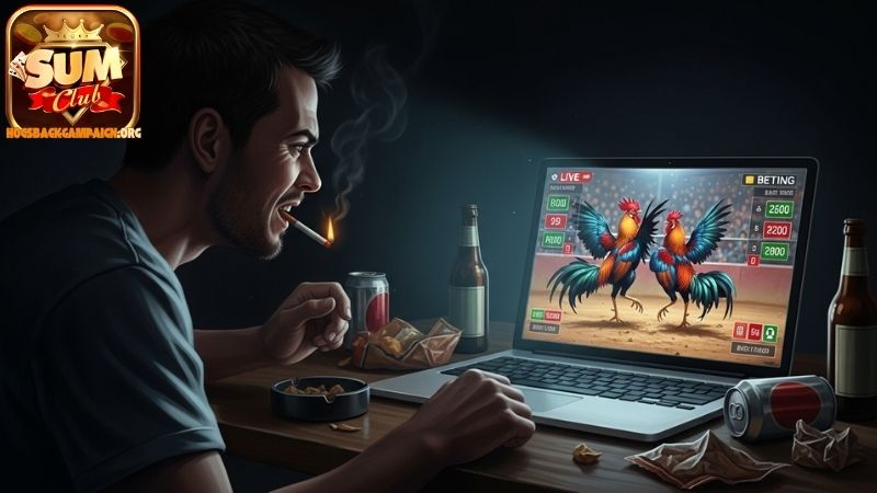 Mẹo theo dõi trận đá gà hay Sumclub